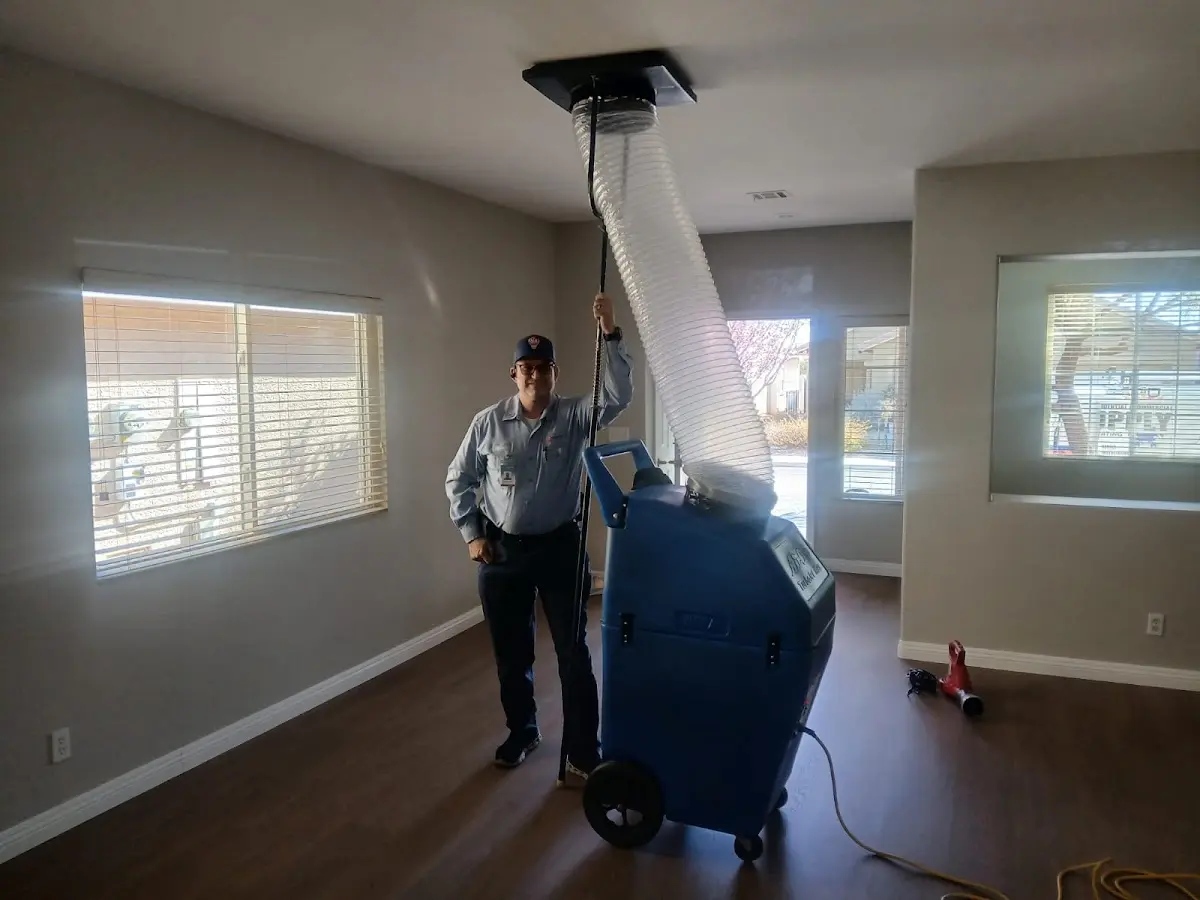 Professional Dryer Vent Cleaning work inside a Diboll home